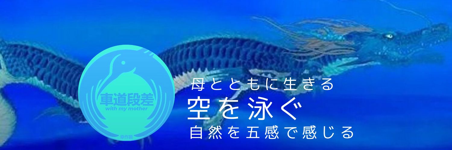 車道 段差 (shadow_dancer)'s banner