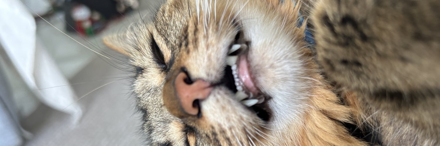 lelet's banner