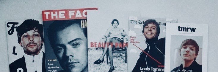 Pollitø |🇵🇪|'s banner