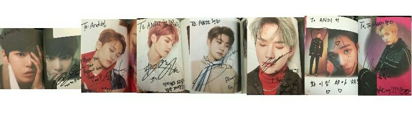🐰🐯🐻's banner