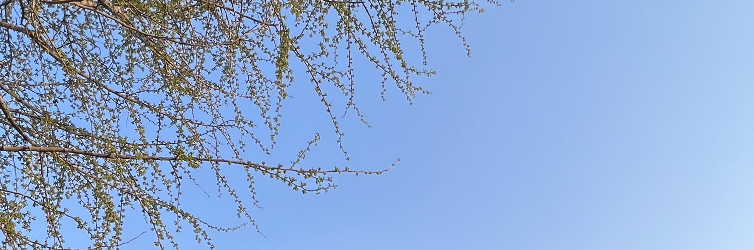 大塚びる's banner
