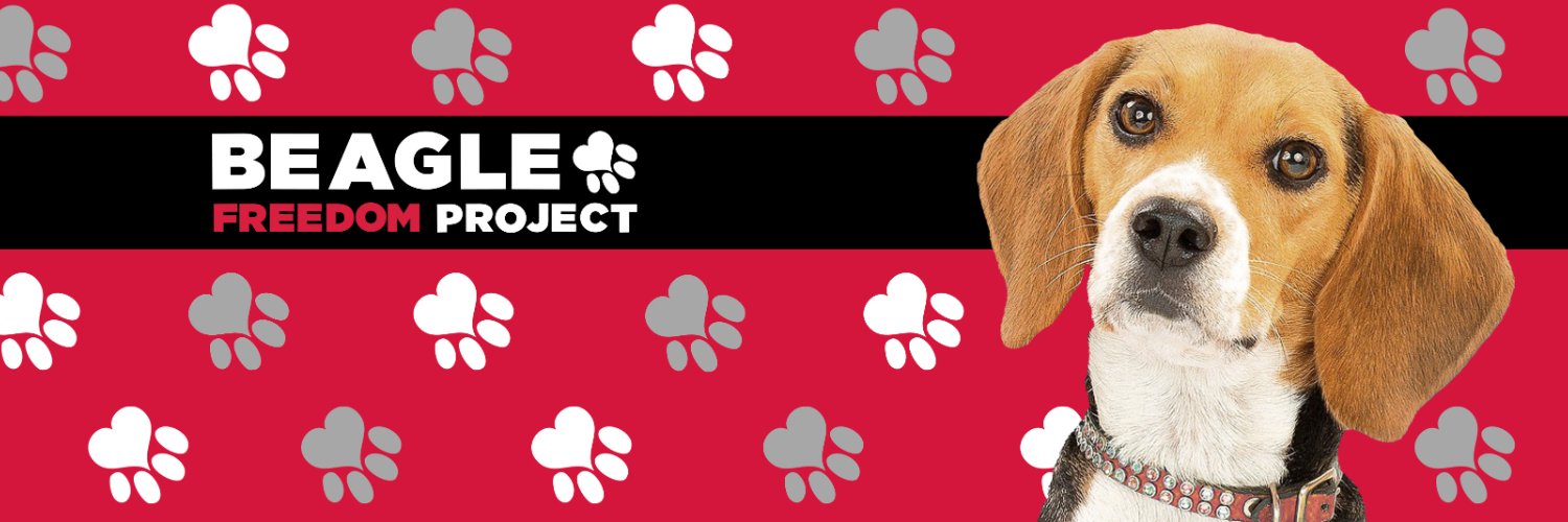 Beagle Freedom Project's banner