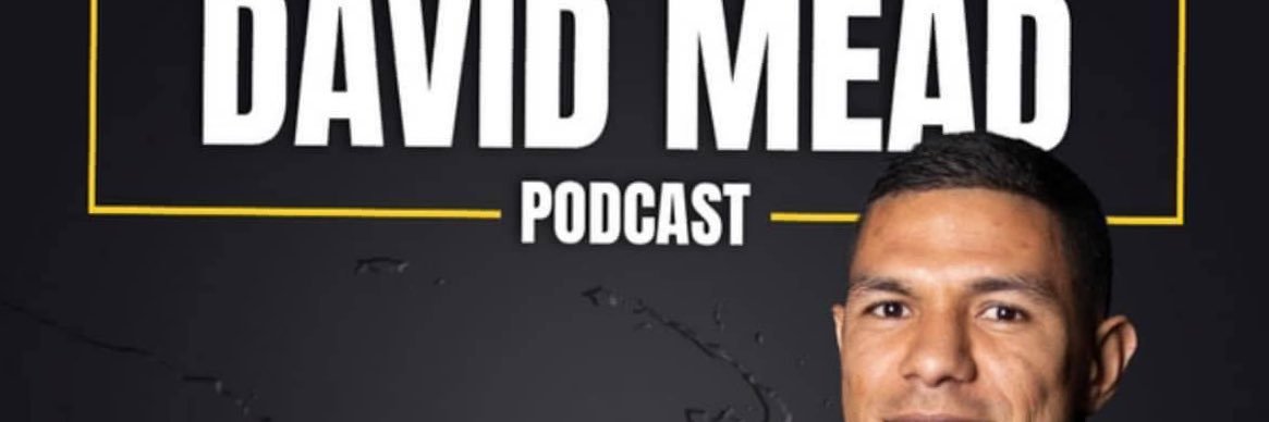 David Mead's banner
