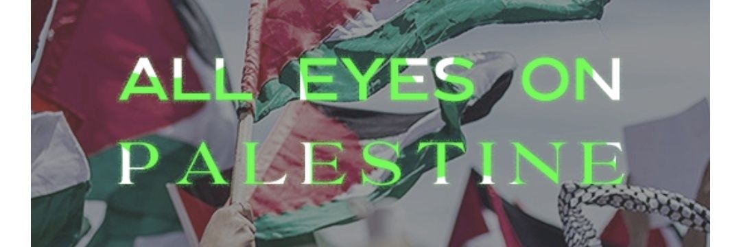 Fíona Ní mhistéil 🐊's banner