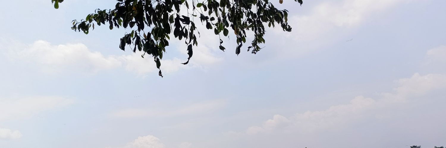Hassan Berkia's banner