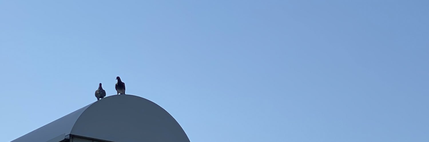 Kimimasa Inazumi's banner
