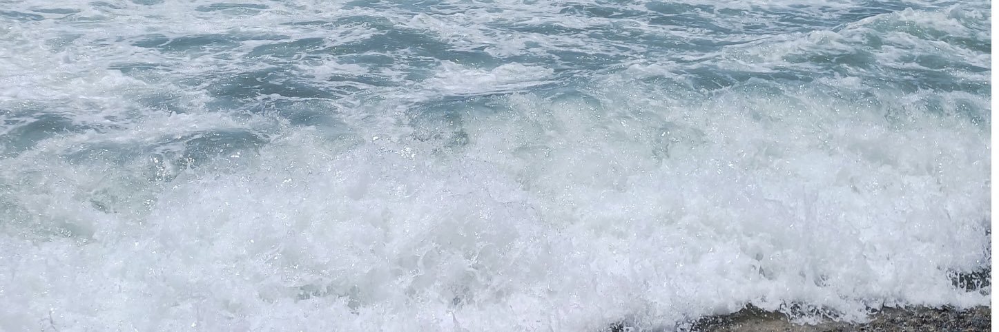 swimprincess's banner
