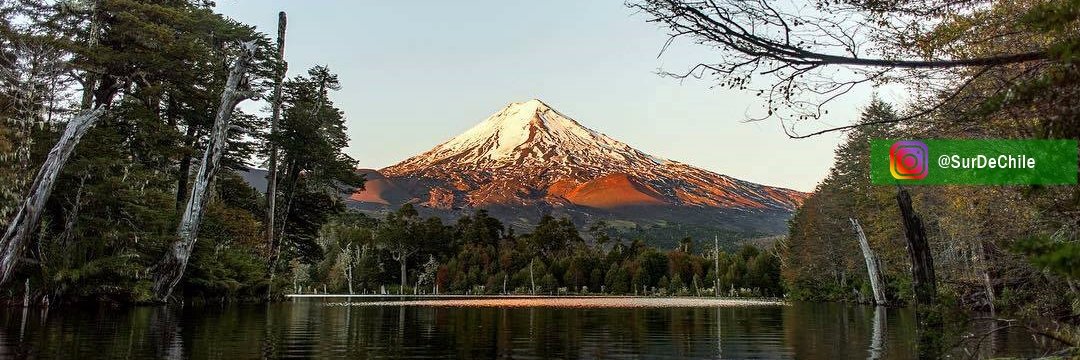 Sur De Chile's banner