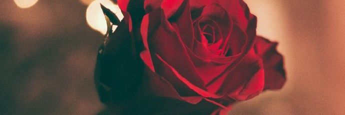 Aneetarh™'s banner