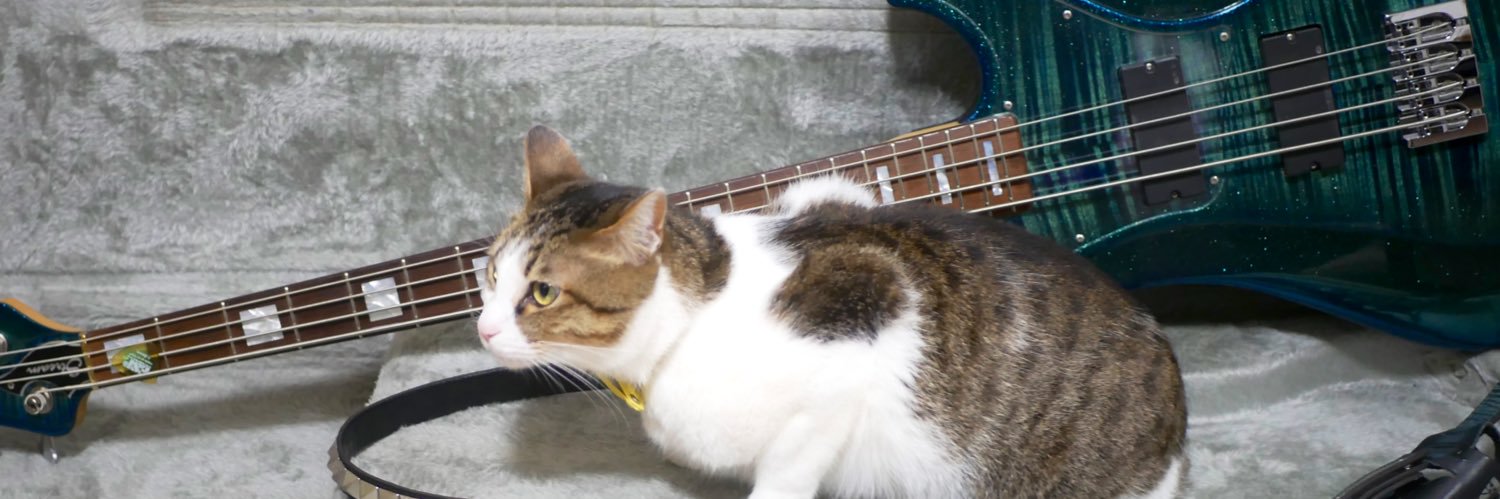 710.🐈🐾's banner