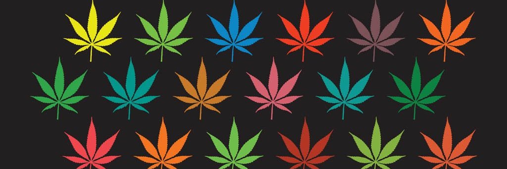 Stoner Tweets's banner