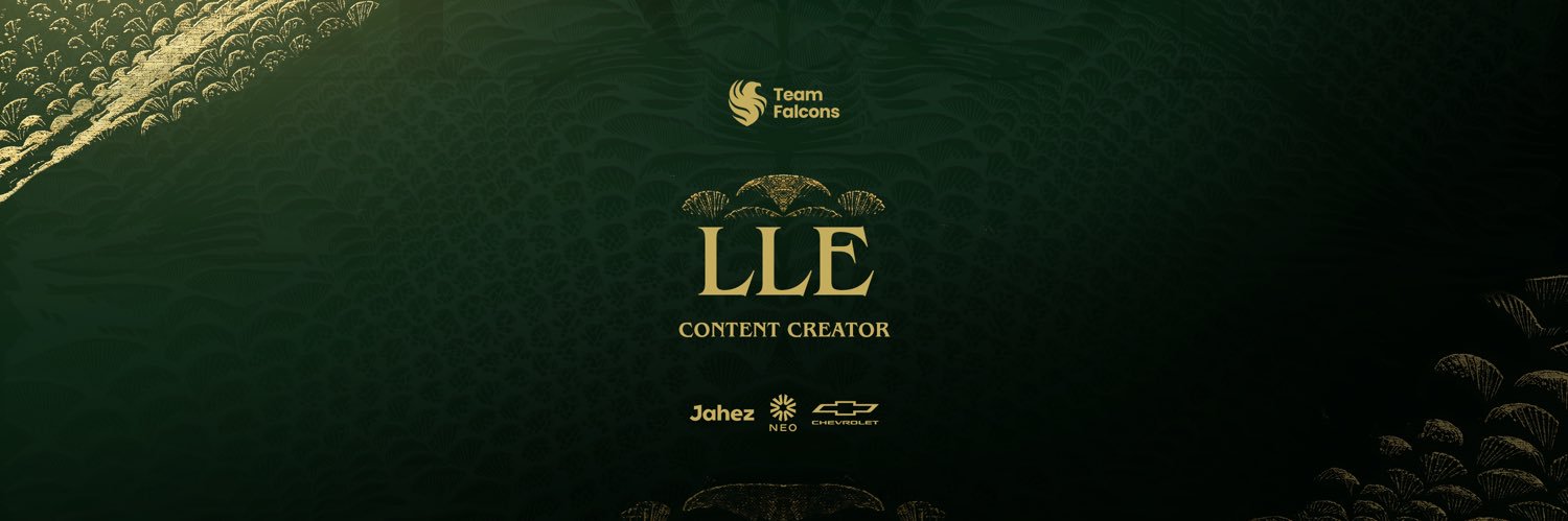 Falcon LLE's banner