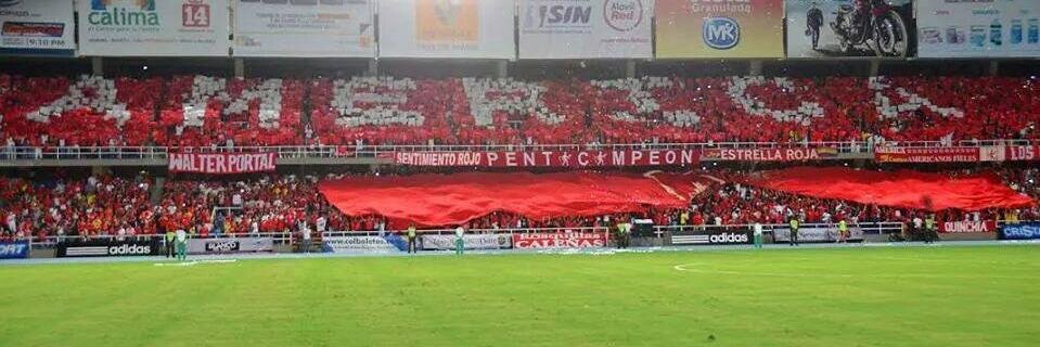 La Mechita ⭐15🏆's banner