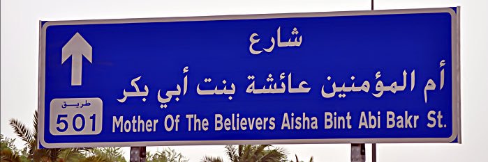 سلطان البرّاق's banner