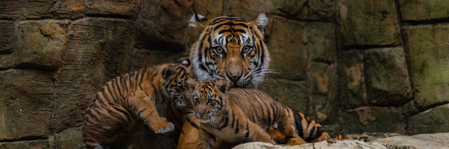 Dallas Zoo's banner