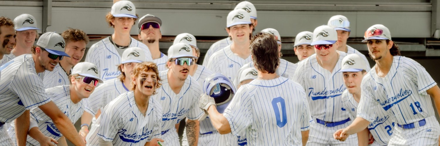 SUNY NIAGARA BASEBALL's banner