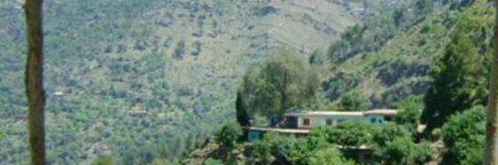 Fouzia's banner