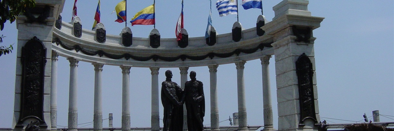 Andrés Arauz's banner