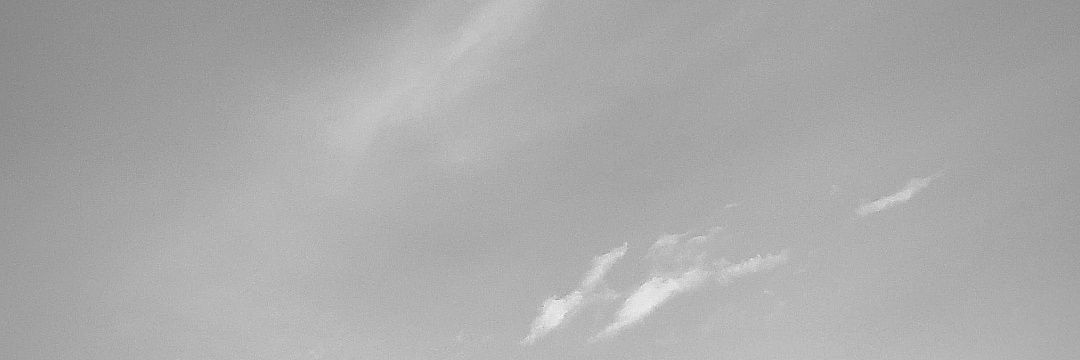 D⚡'s banner