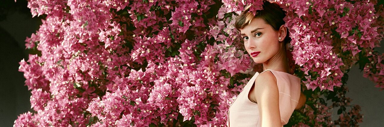 Audrey Hepburn's banner