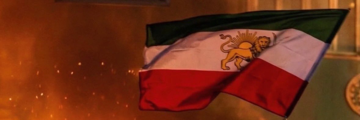 Dr. Nina Ansary's banner
