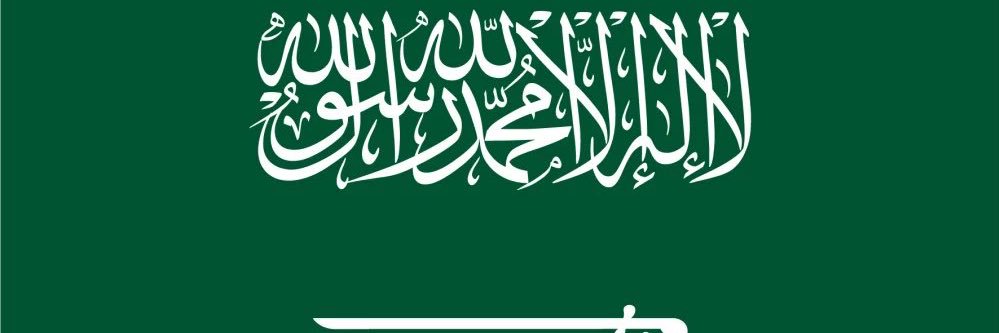 مسفر علي بن منيره's banner