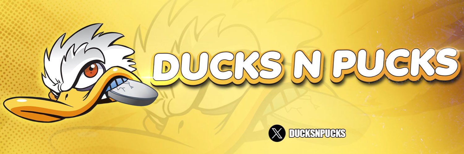 DucksNPucks 🦆🏒's banner