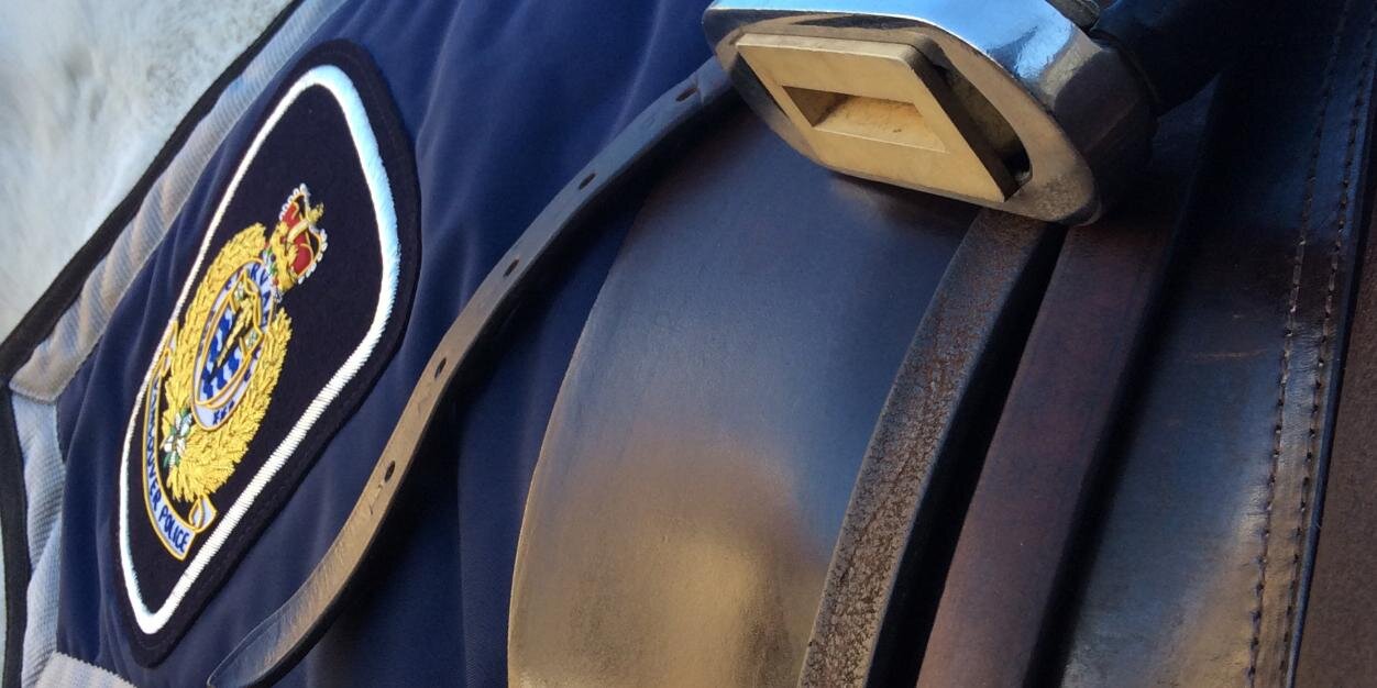 VPD Mounted Unit's banner
