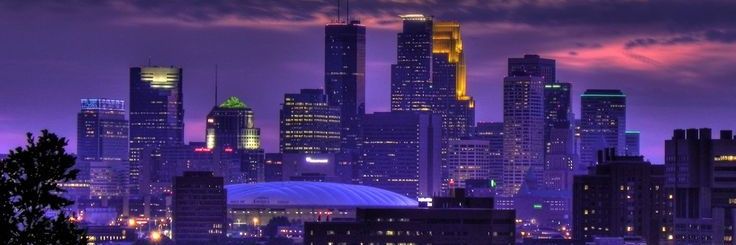 Viking Nation #MinnesotaStrong #Resist's banner