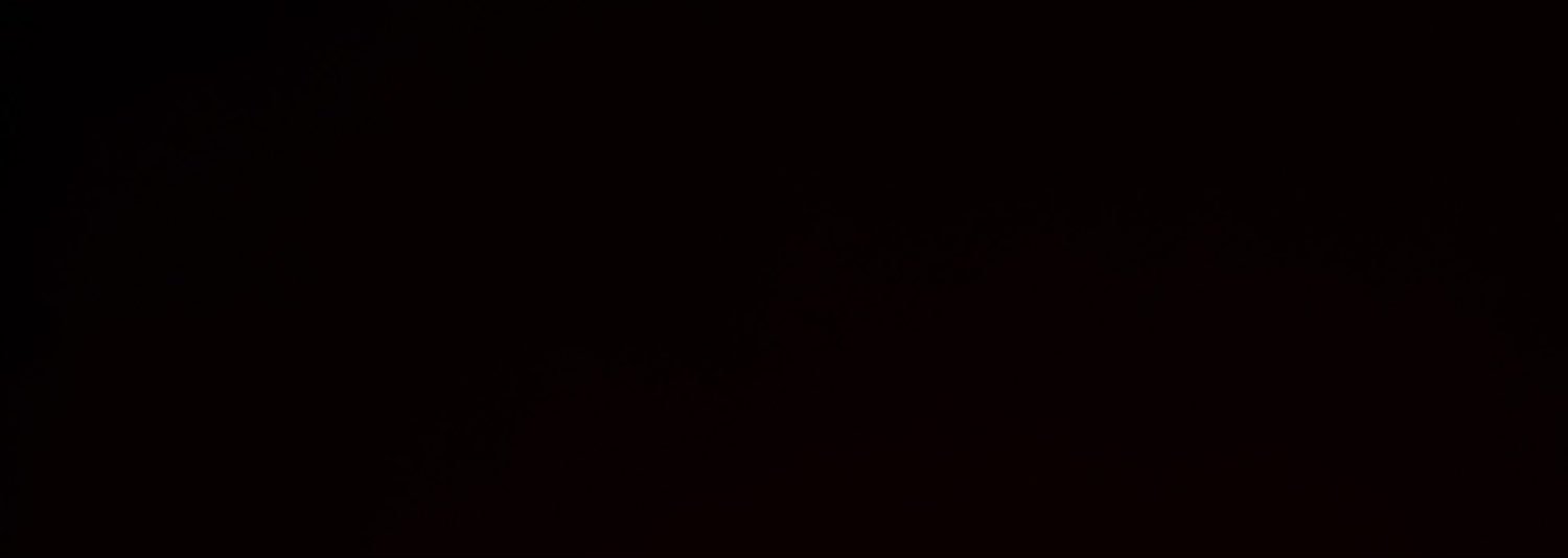 y's banner