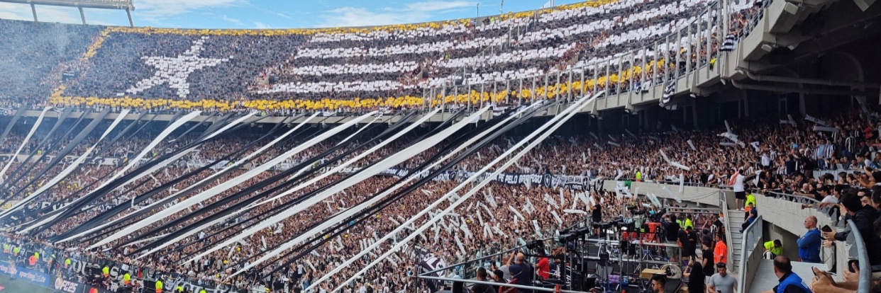 Botafogo Hinchas's banner