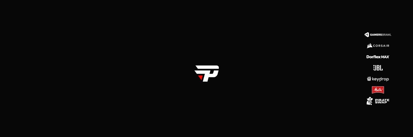 paiN Gaming's banner