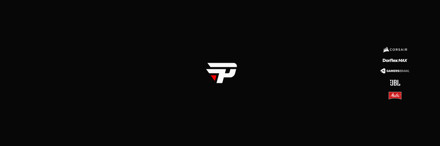 paiN Gaming's banner