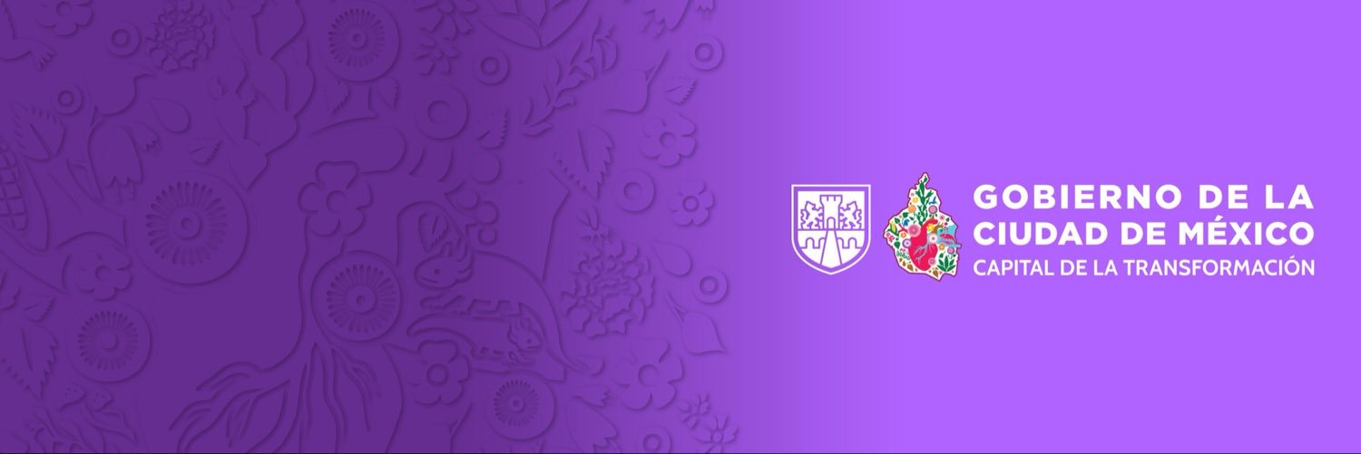 SEGOB CDMX's banner