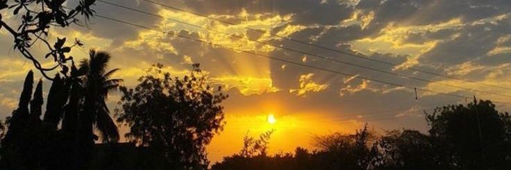 Musky❤️‍🔥's banner