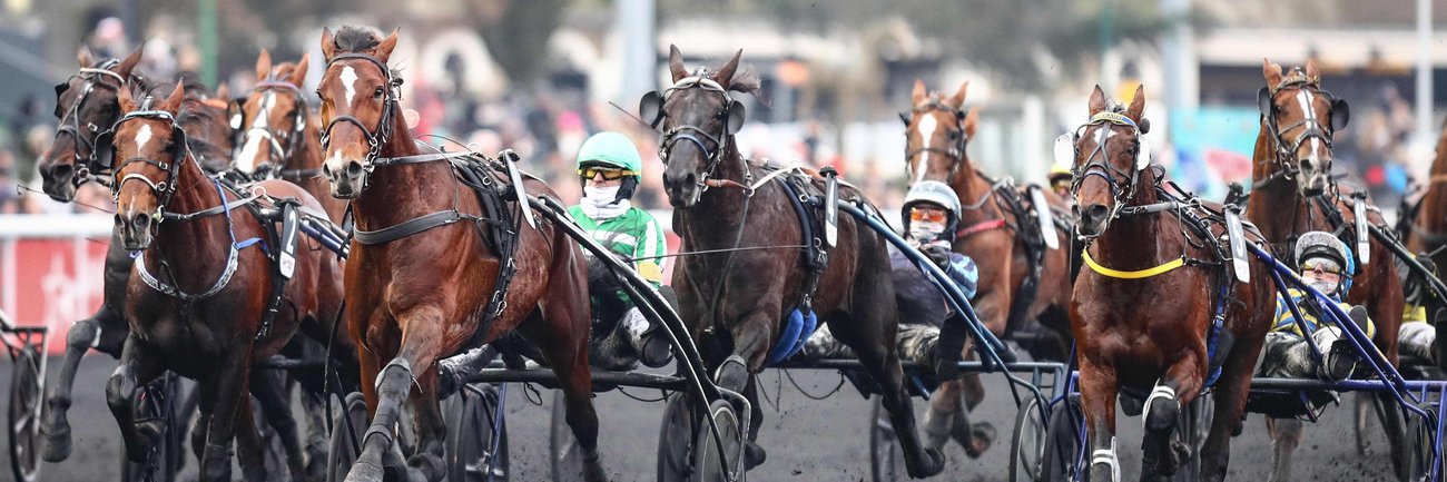 Equidia's banner