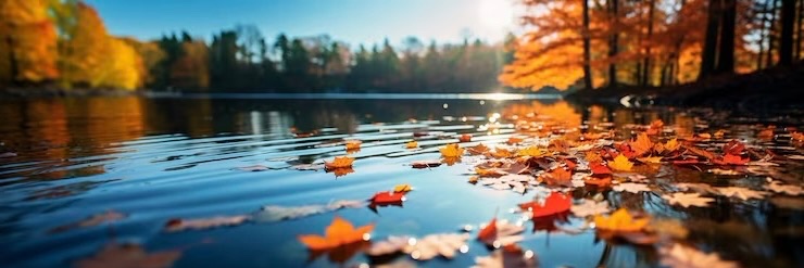 ᏦᏋᏋᏦ®'s banner