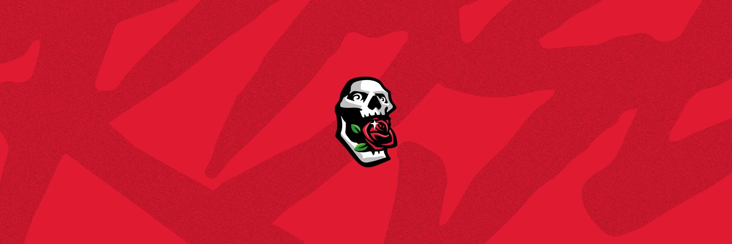 Rosevelt's banner