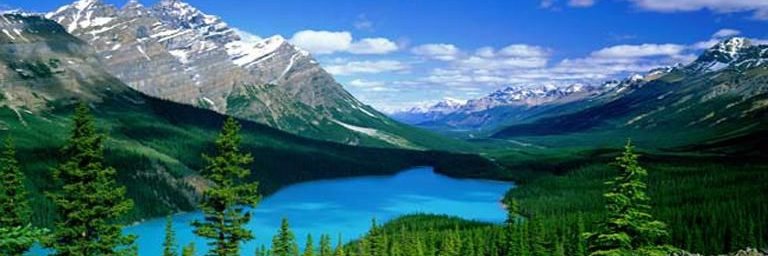 素心无尘🇨🇦's banner