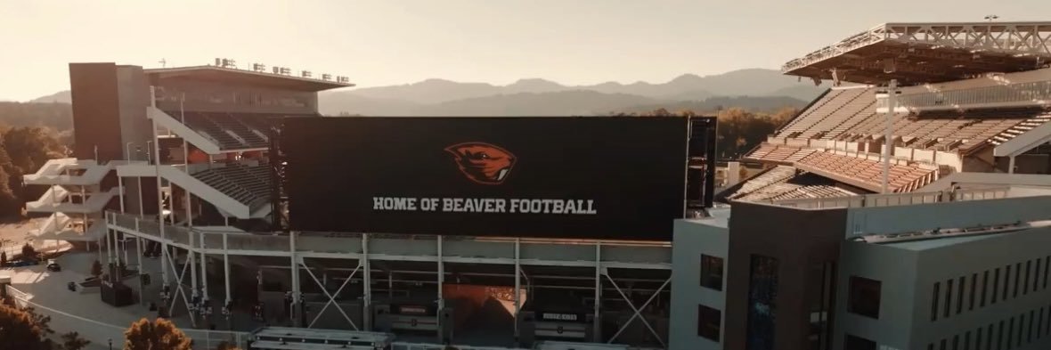 Todd McShane's banner