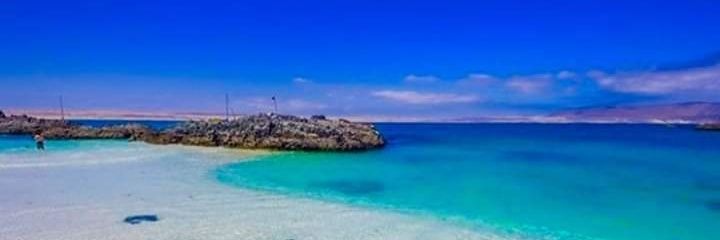 Maritza 🇨🇱's banner