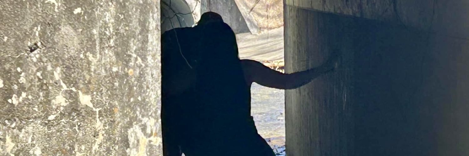 Chloe's banner