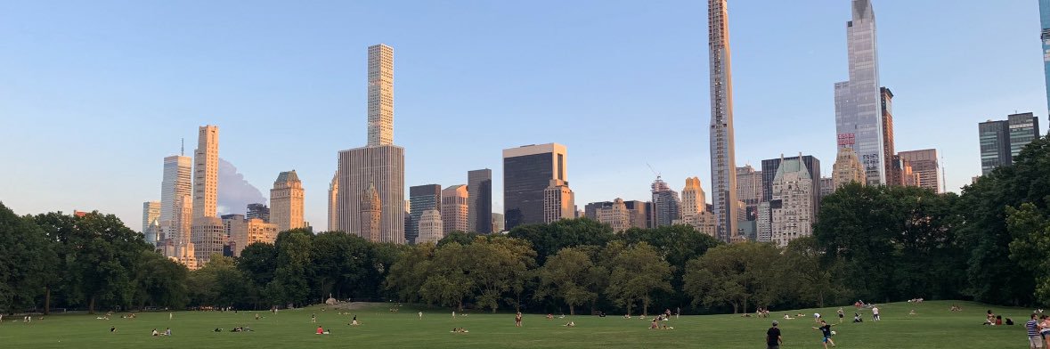 NYPD Central Park's banner