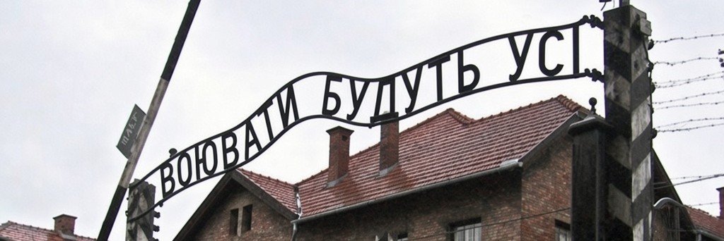 𝓓𝓸𝓷 𝓑𝓪𝓼𝓼's banner