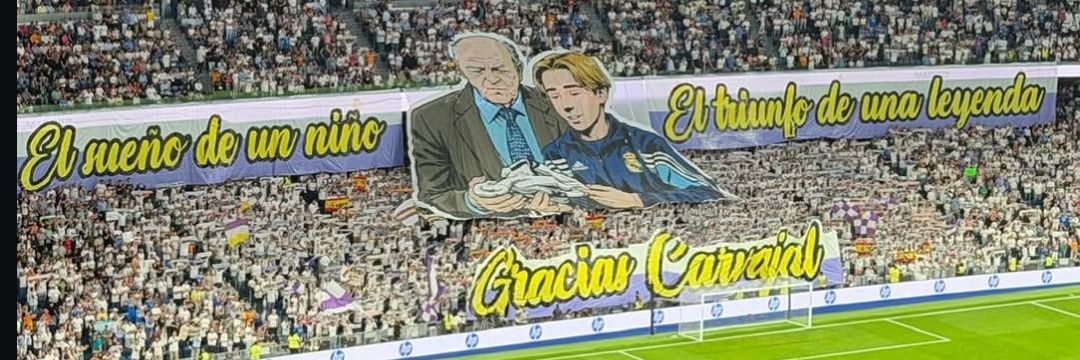 Steizam's banner