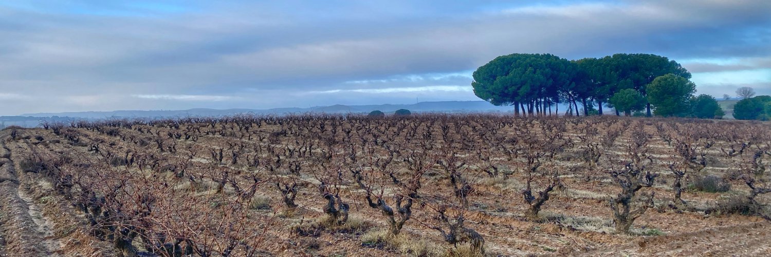 Ribera Del Duero's banner