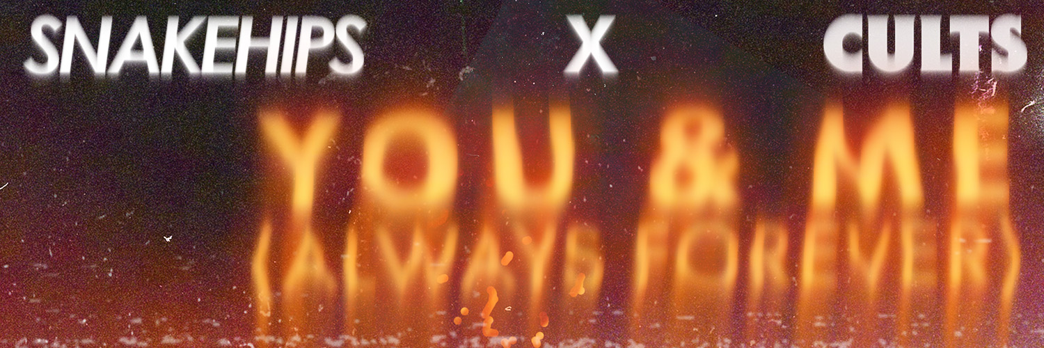 SNAKEHIPS（ミ￣ー￣ミ）'s banner