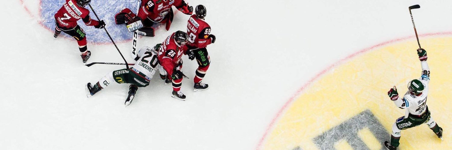 Rasmus Dahlin's banner