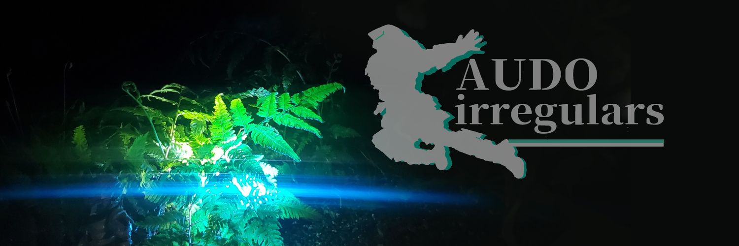 バァドゥ🌱's banner