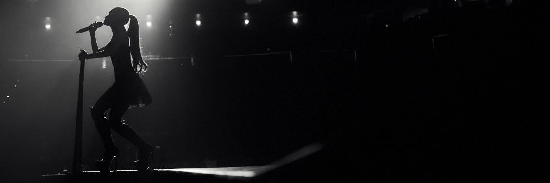 fer ꕤ⋆.˚'s banner